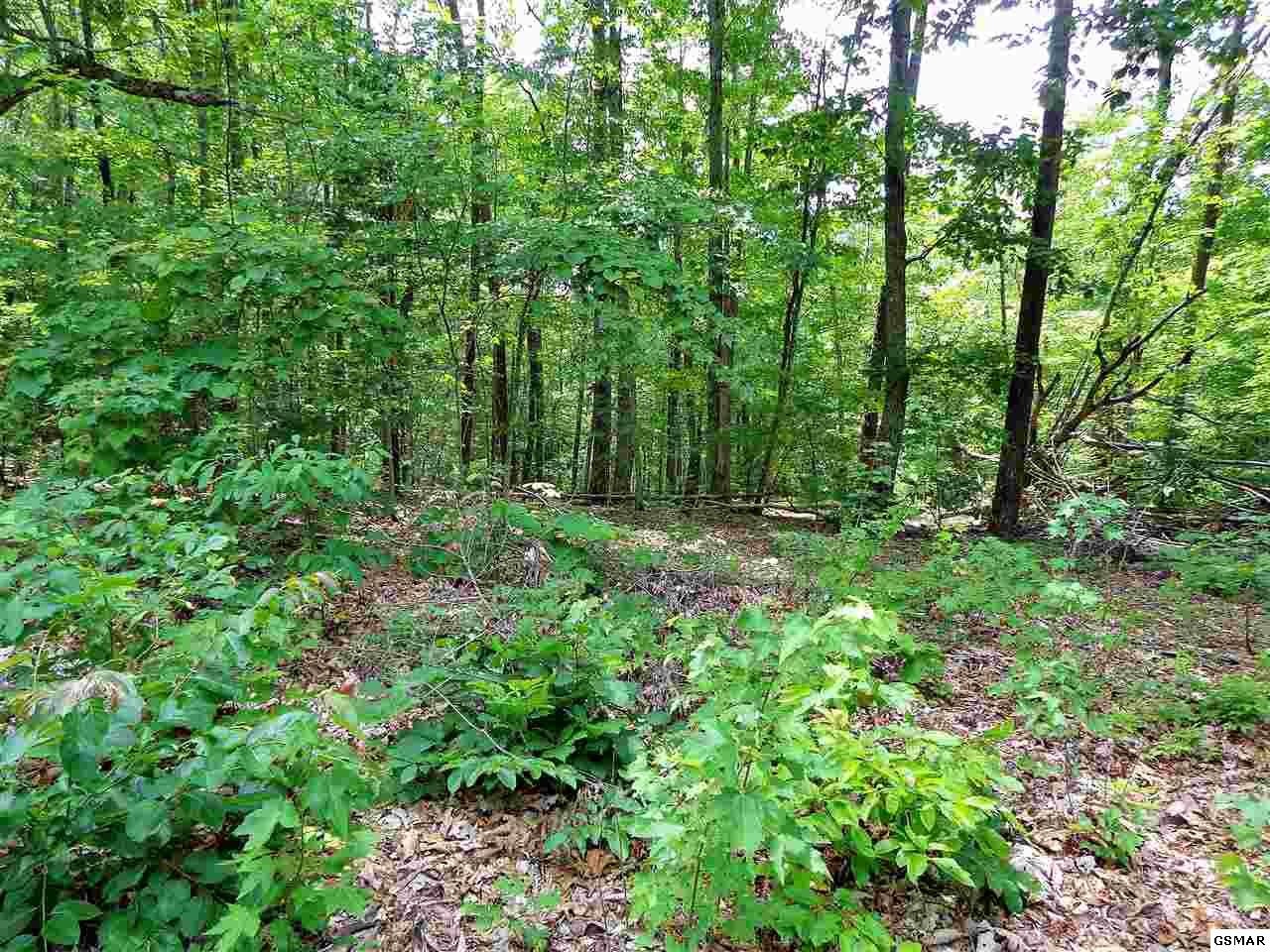 8409850 Overview Way Newport, TN 37821 - Photo 5 of 10 Gallery Image 5