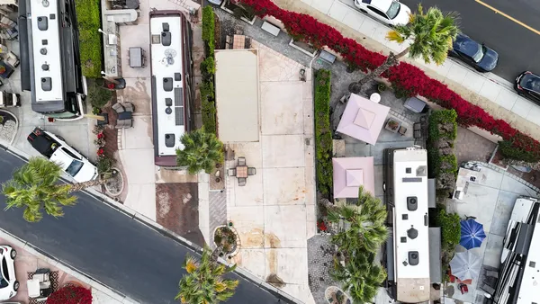 a view of city and flowers