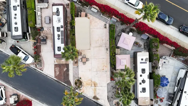 a view of city and flowers