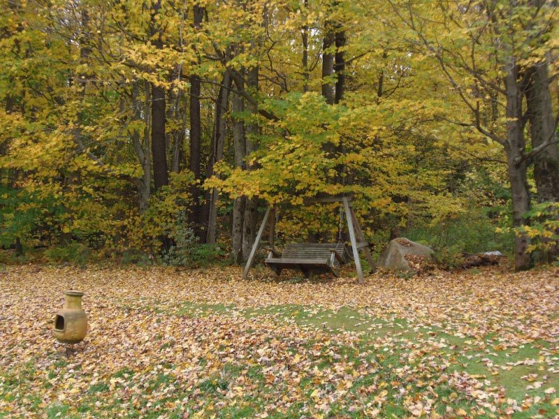 1612 Windsor Road Cheshire, MA 01225 - Photo 7 of 30 a backyard of a house with lots of green space