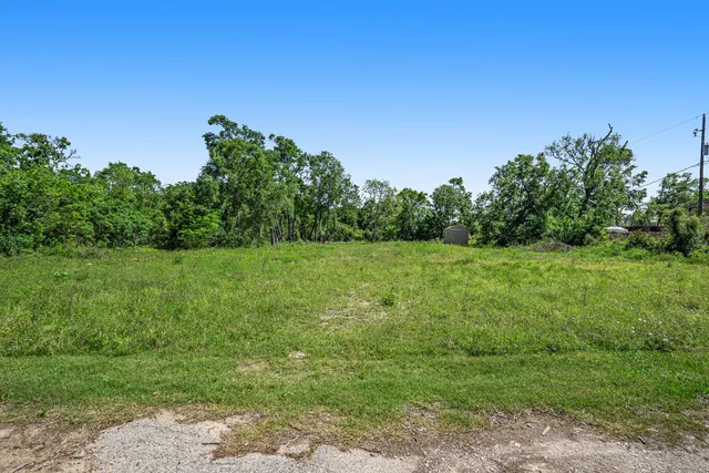 a view of a garden with large trees