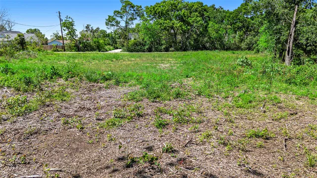 a view of a back yard