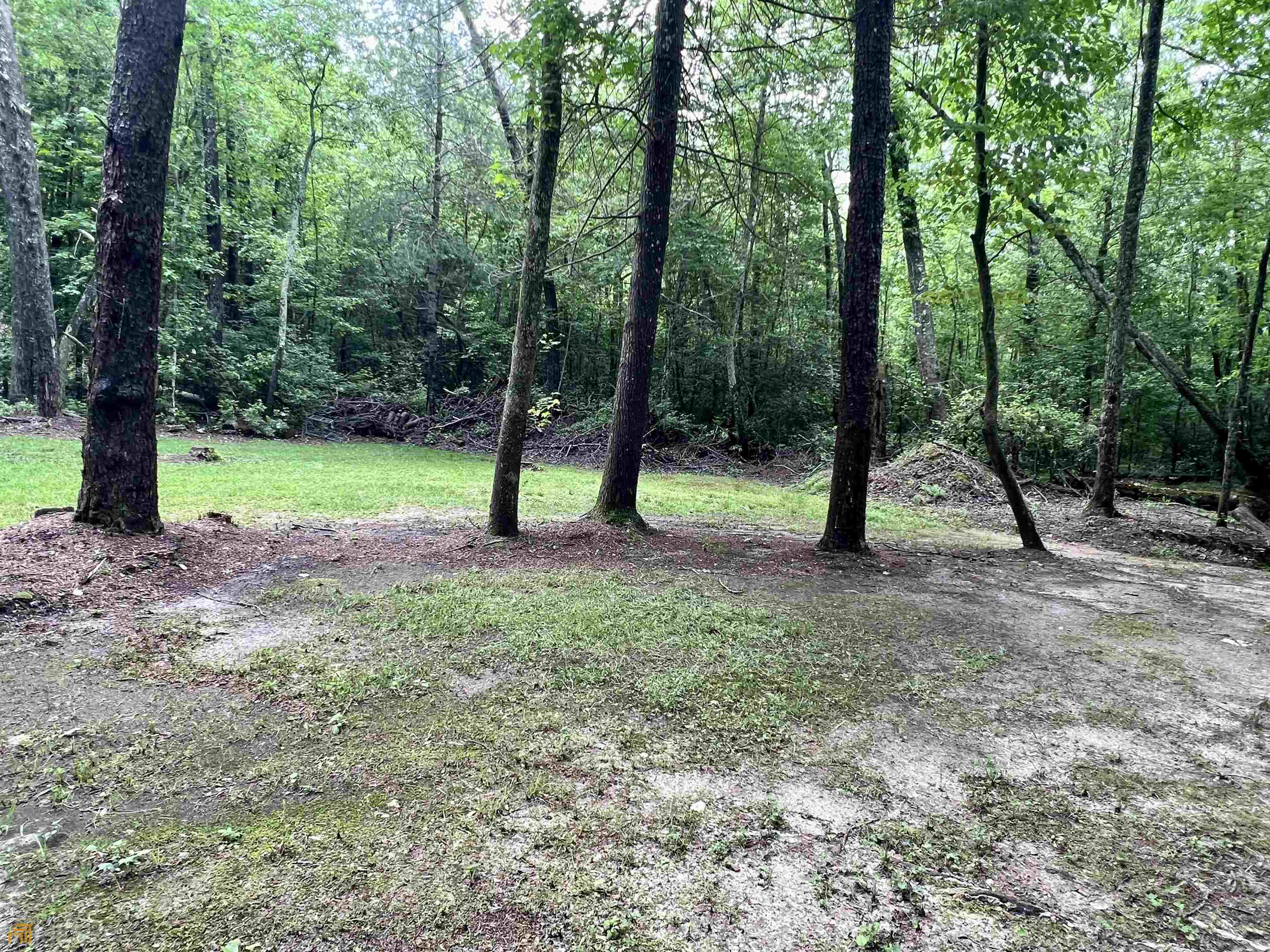 186 Holly Lane Cleveland, GA 30528 - Photo 48 of 58 a view of park with trees