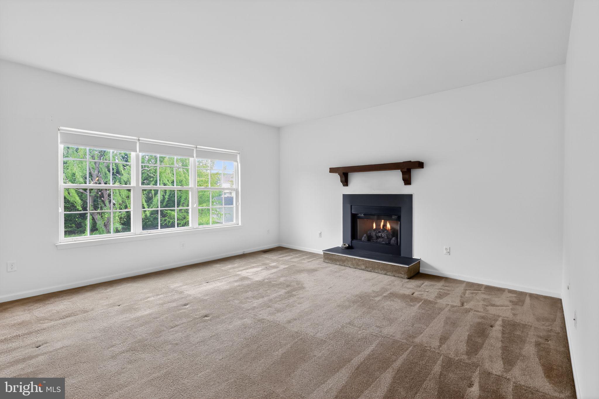 5 Basalt Street Townsend, DE 19734 - Photo 19 of 45 Living Space with gas fireplace