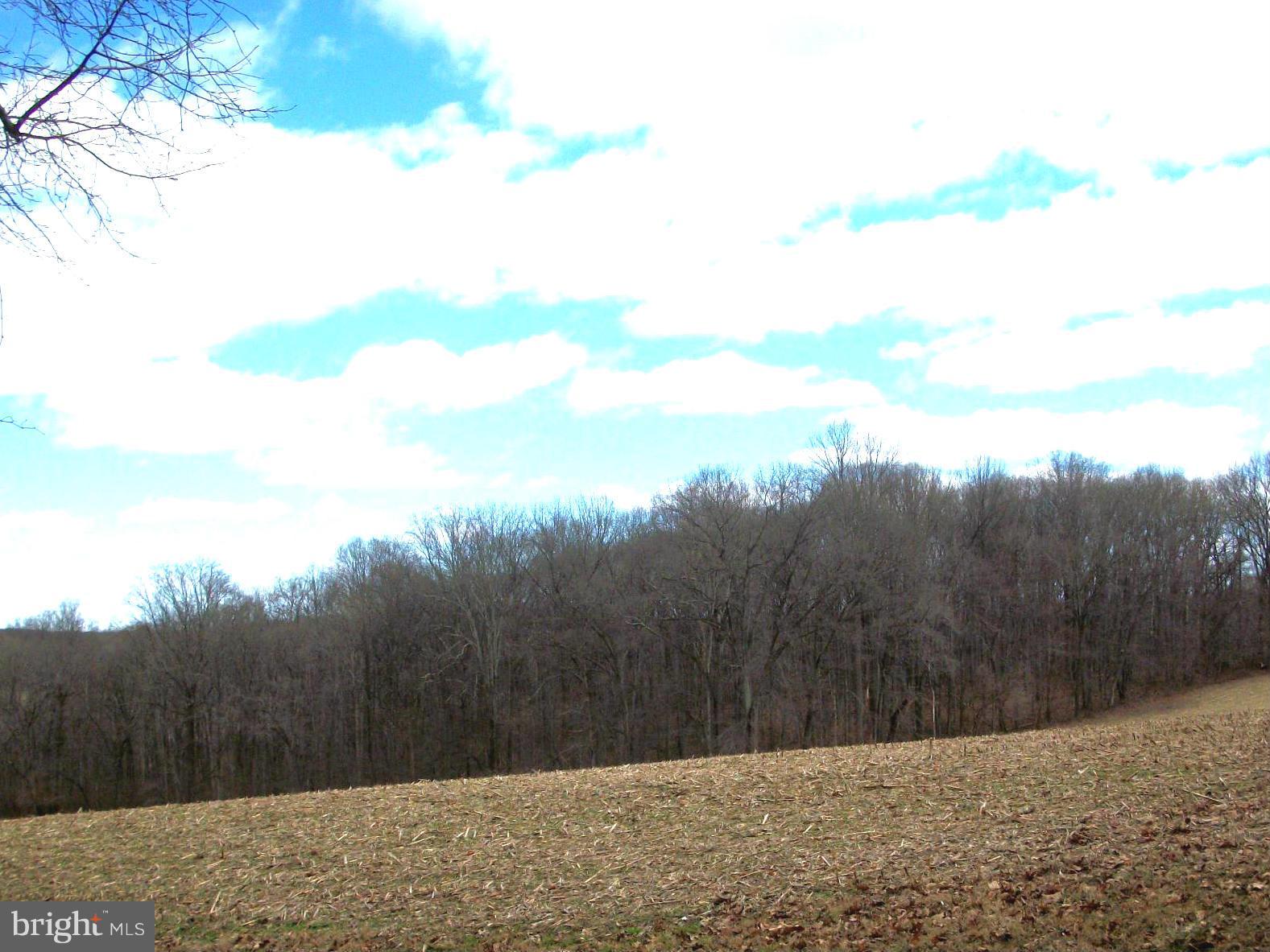 2510 Cotter Road Freeland, MD 21053 - Photo 3 of 10 View