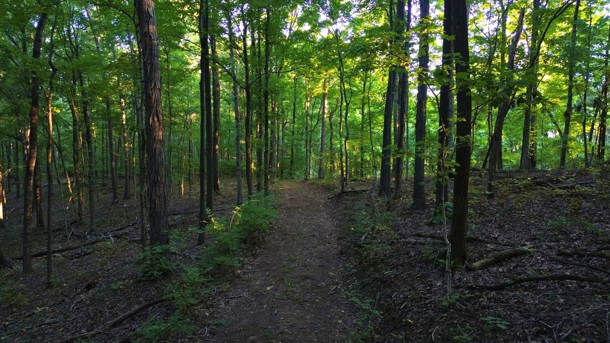 8218 Old Pond Creek Road Nashville, TN 37143 - Photo 11 of 23 a view of outdoor space and green space