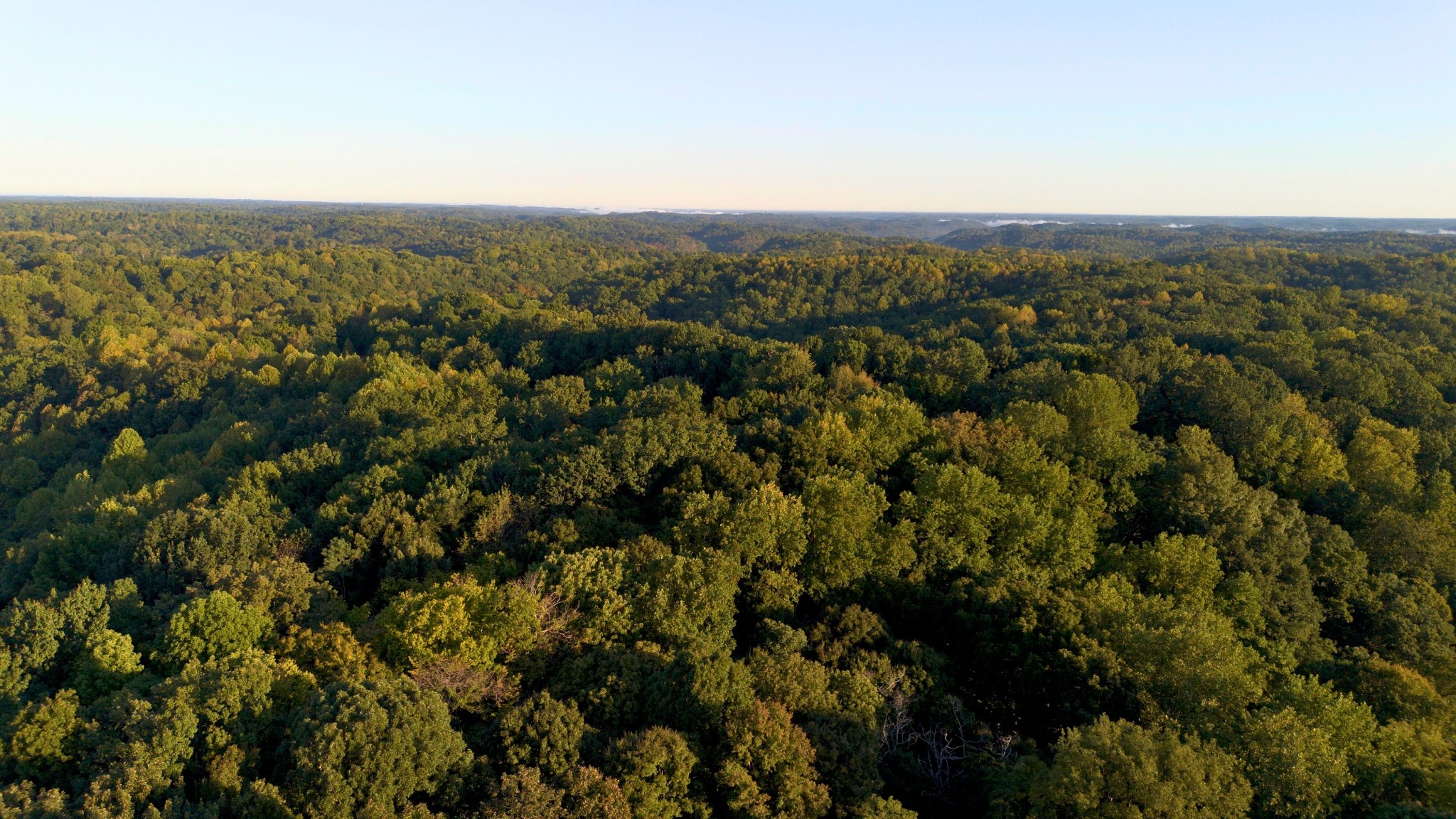 8218 Old Pond Creek Road Nashville, TN 37143 - Photo 14 of 23 an aerial view of house with yard and mountain view in back