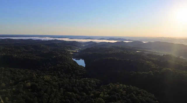 a backyard of a house with lots of green space and garden