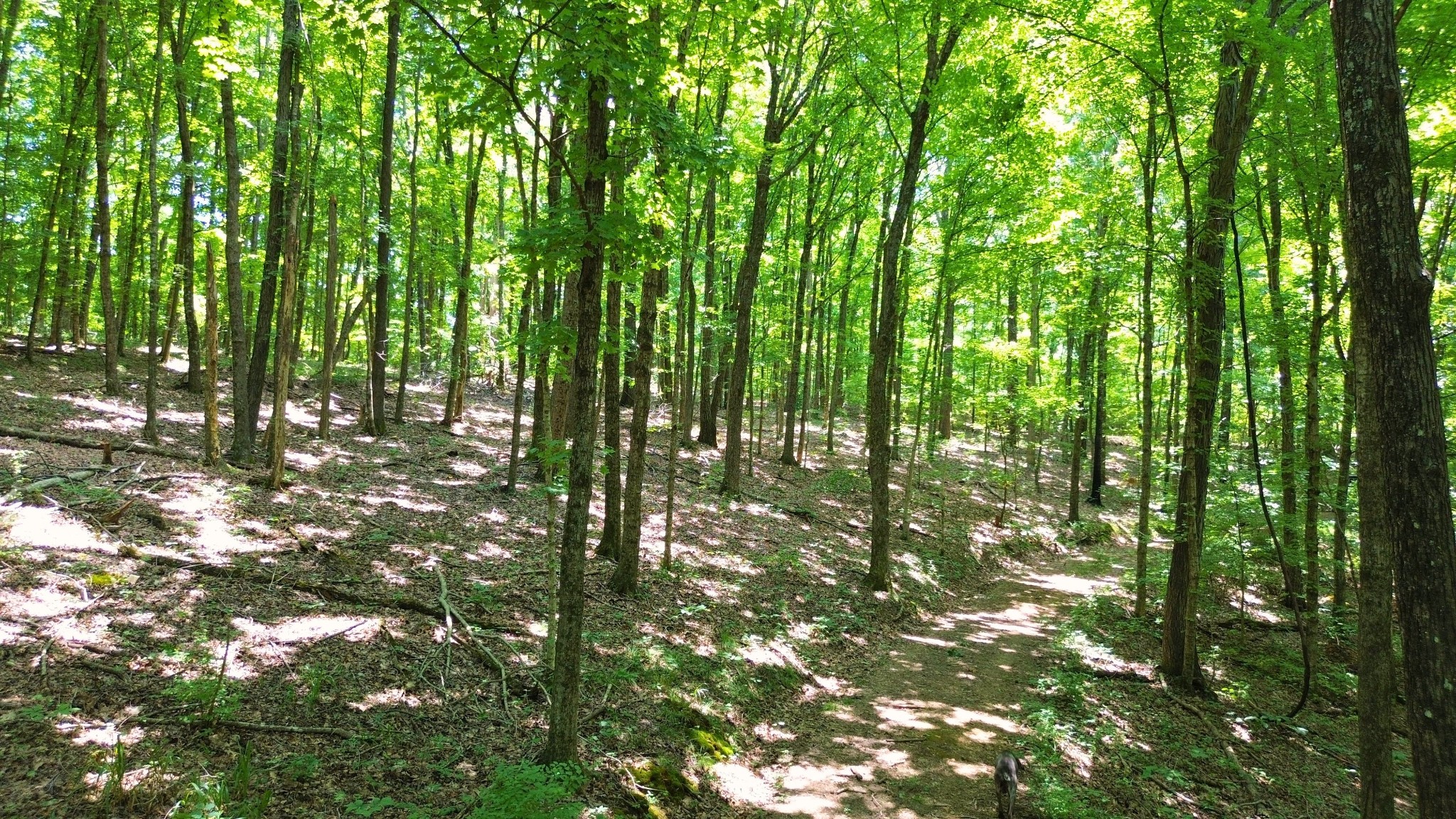 8218 Old Pond Creek Road Nashville, TN 37143 - Photo 18 of 23