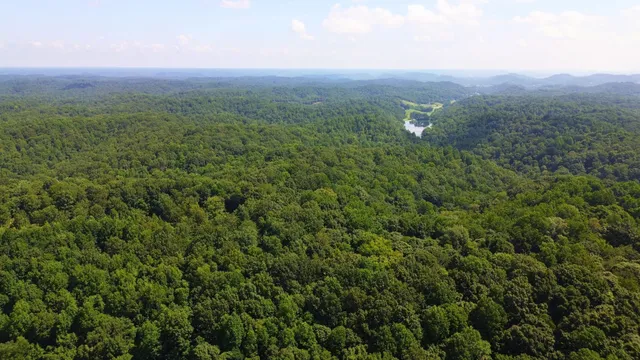 $2,850,000 | 8218 Old Pond Creek Road, Pegram, TN 37143