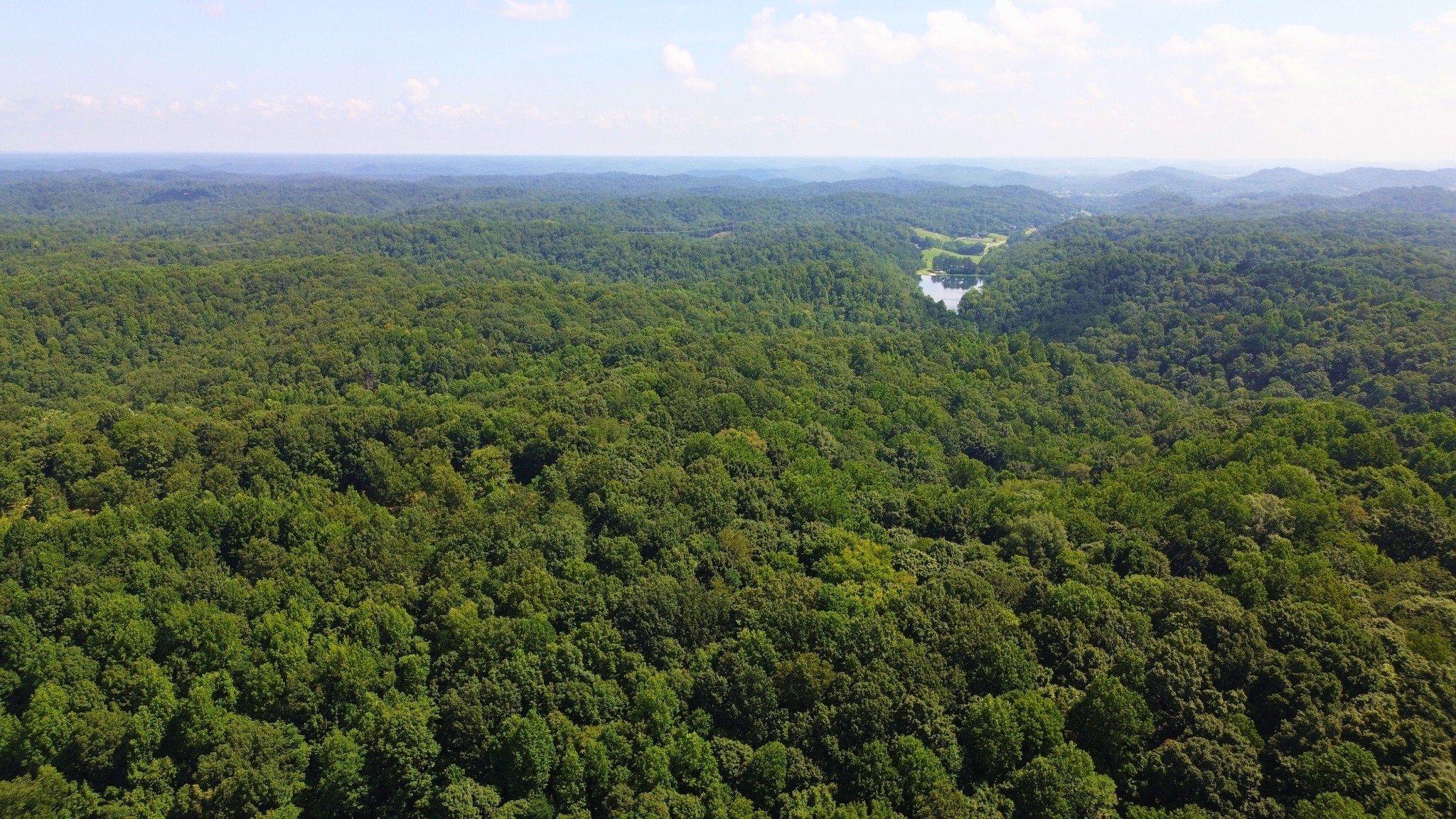 8218 Old Pond Creek Road Nashville, TN 37143 - Photo 23 of 23 a view of a green field with lots of bushes