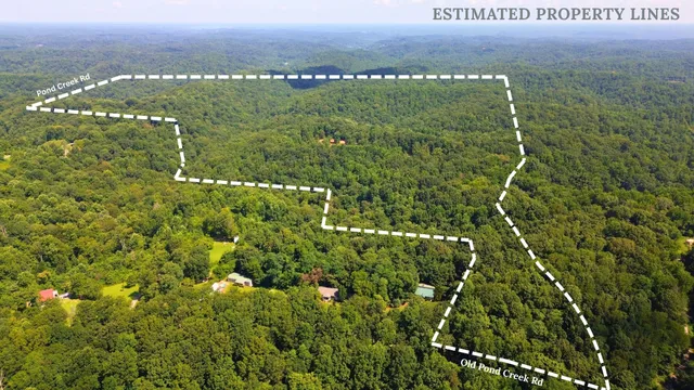 an aerial view of houses covered in trees