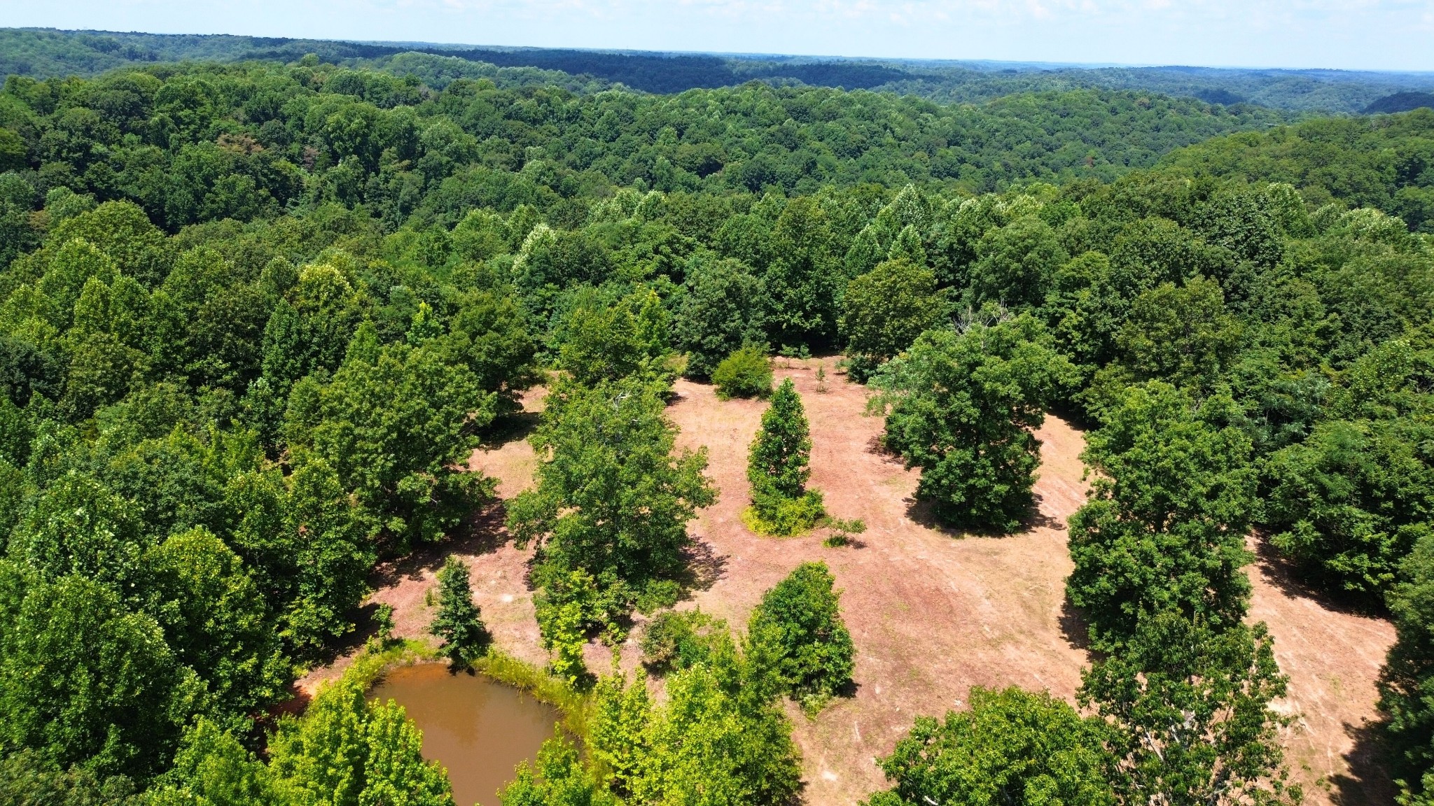 8218 Old Pond Creek Road Nashville, TN 37143 - Photo 5 of 23 a view of a forest with a house