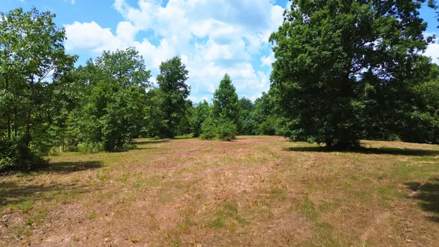 a view of outdoor space and green space