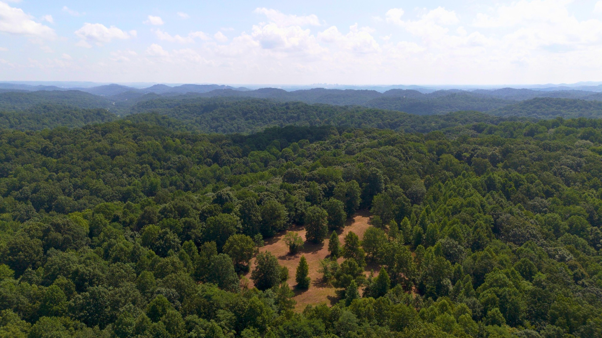 8218 Old Pond Creek Road Nashville, TN 37143 - Photo 9 of 23 an aerial view of houses covered in trees