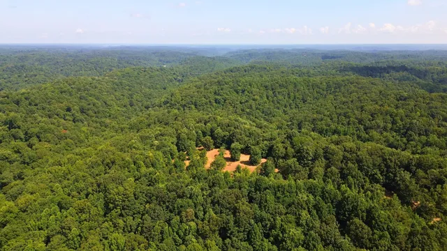 a view of a lake with huge green field and trees all around