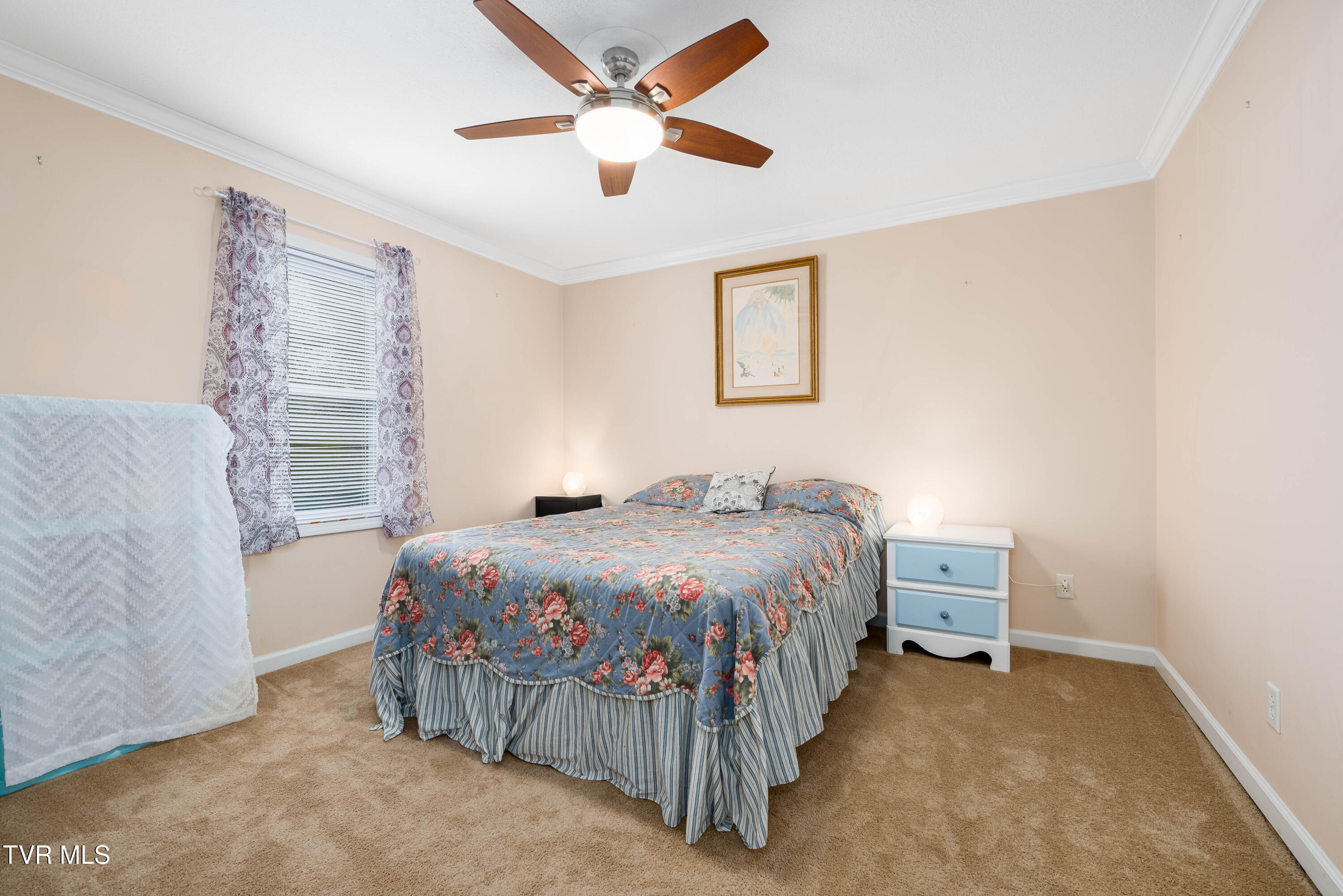 3402 West Walnut Street Johnson City, TN 37604 - Photo 30 of 66 3402 west walnut (58 of 66)