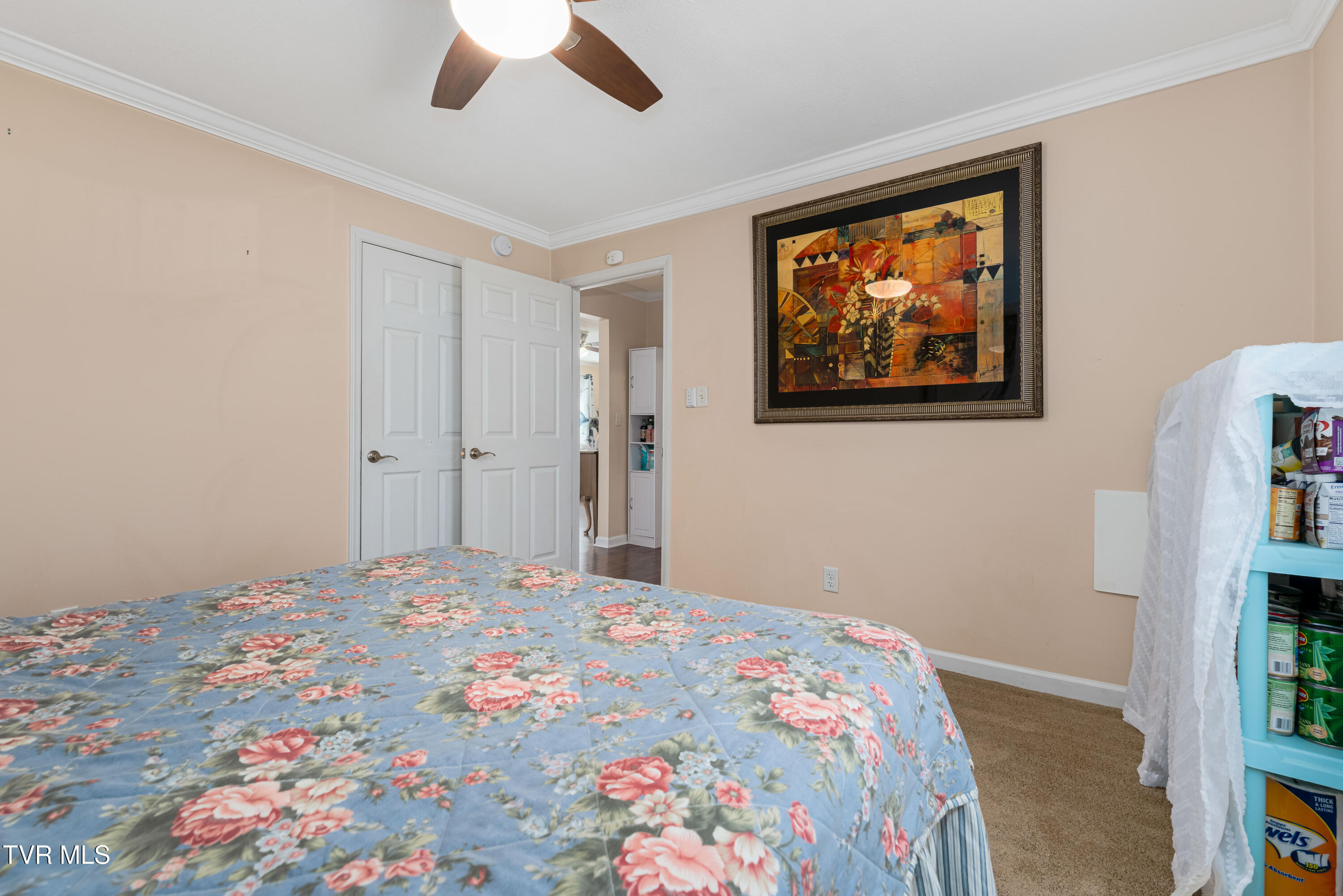 3402 West Walnut Street Johnson City, TN 37604 - Photo 32 of 66 3402 west walnut (59 of 66)