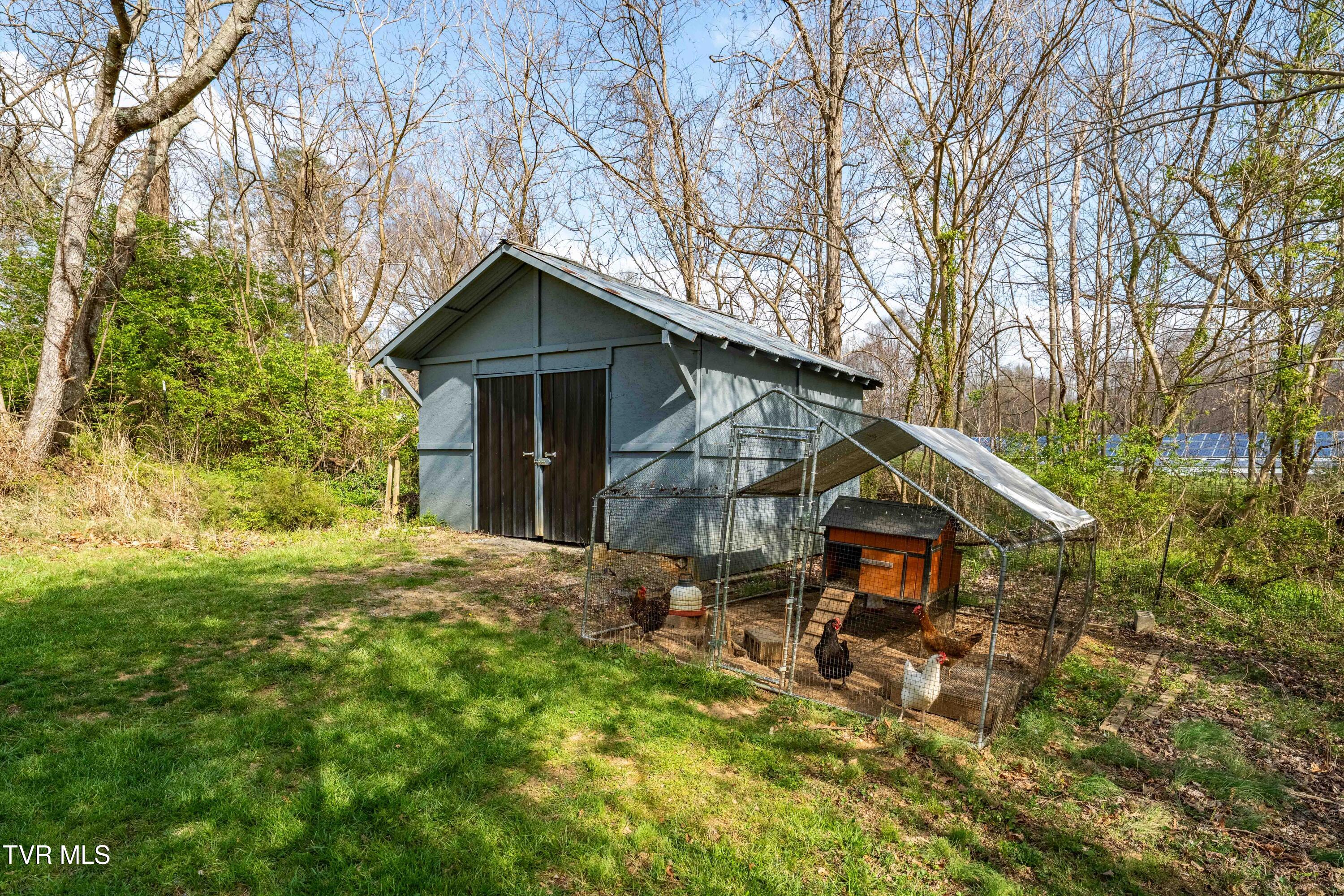 3402 West Walnut Street Johnson City, TN 37604 - Photo 35 of 66 3402 west walnut (41 of 66)