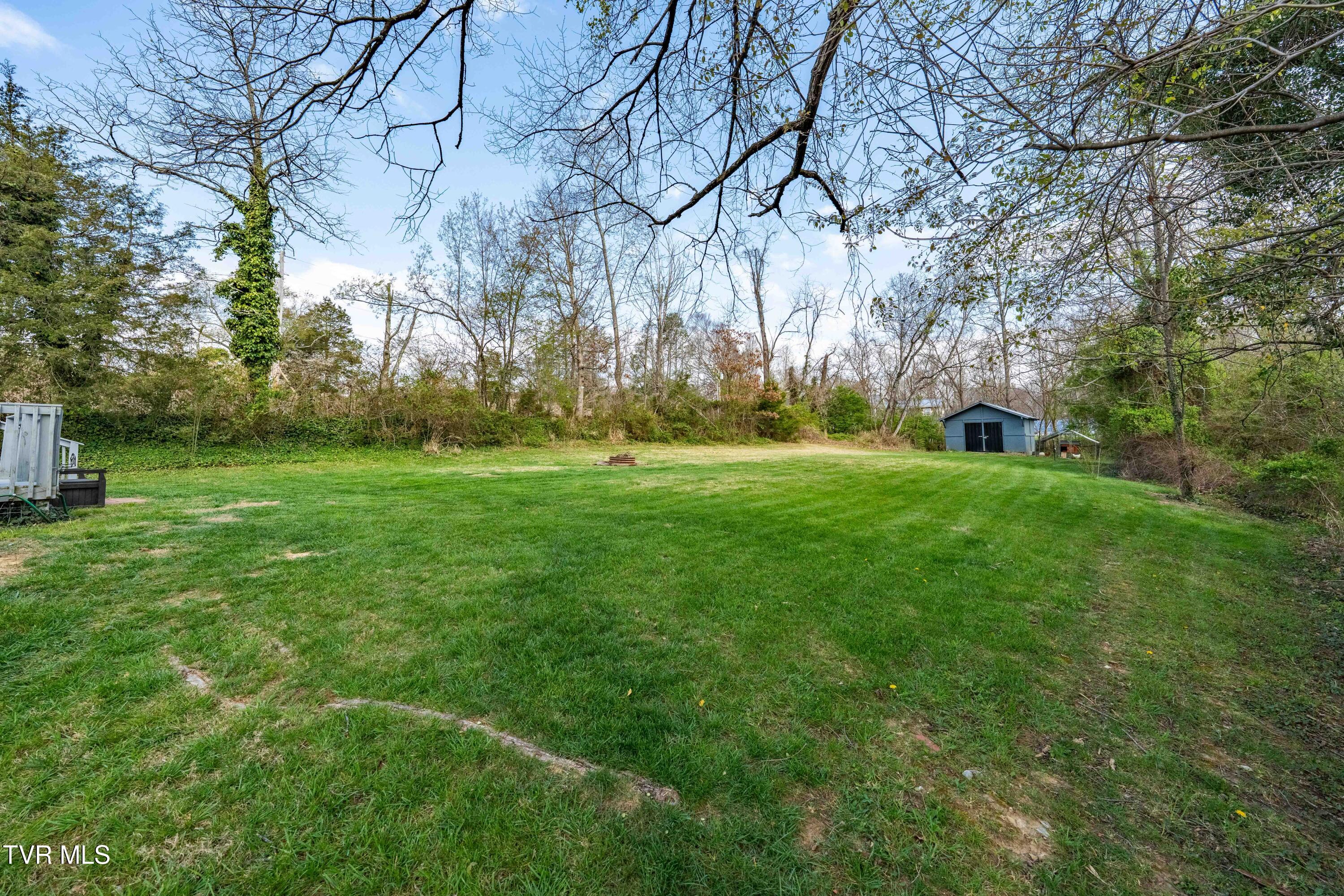 3402 West Walnut Street Johnson City, TN 37604 - Photo 49 of 66 3402 west walnut (29 of 66)