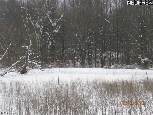 5758 Root Road Conneaut, OH 44030 - Photo 11 of 12