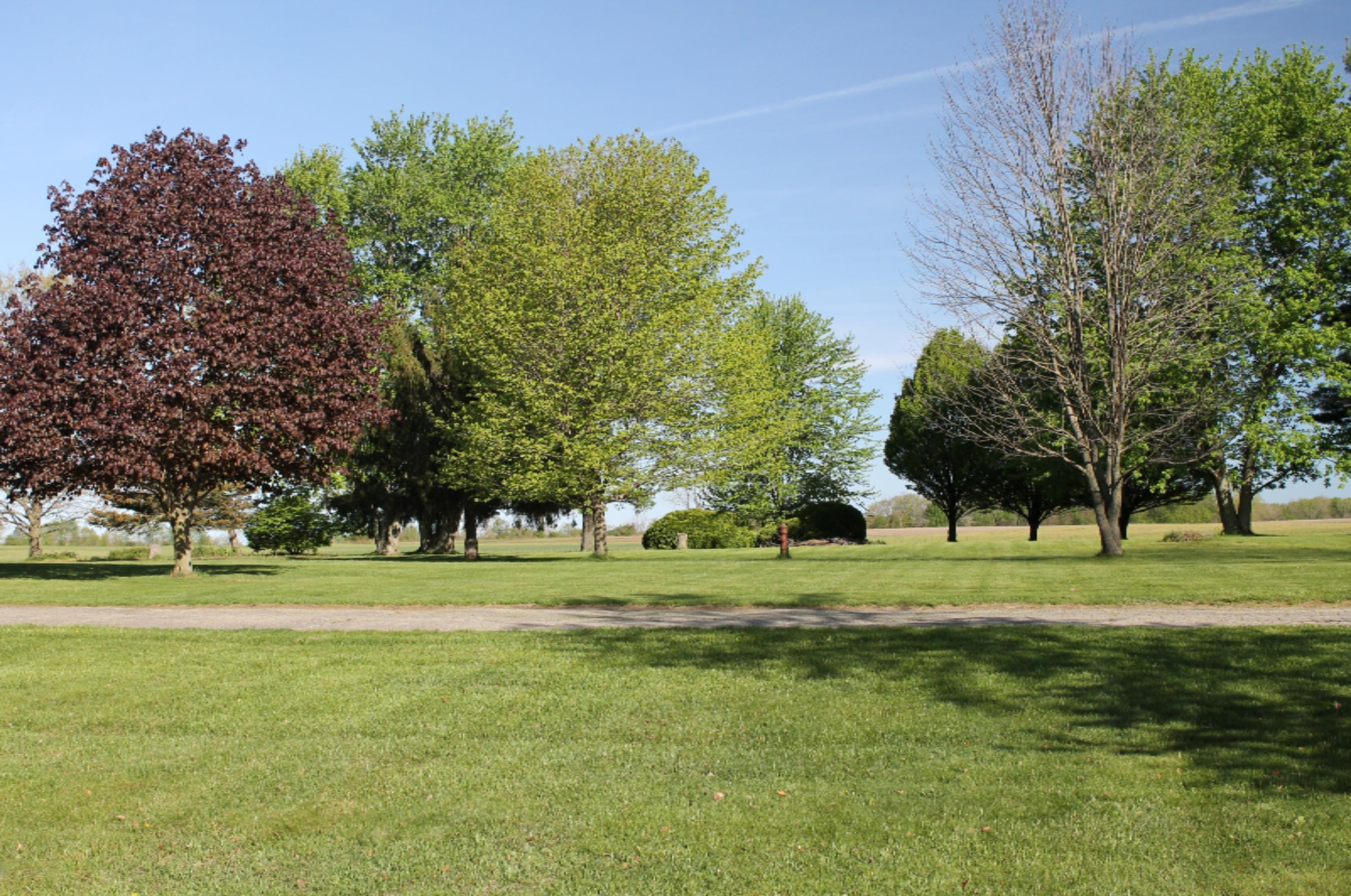 16790 Flynn Road Three Oaks, MI 49128 - Photo 28 of 30 IMG_5570