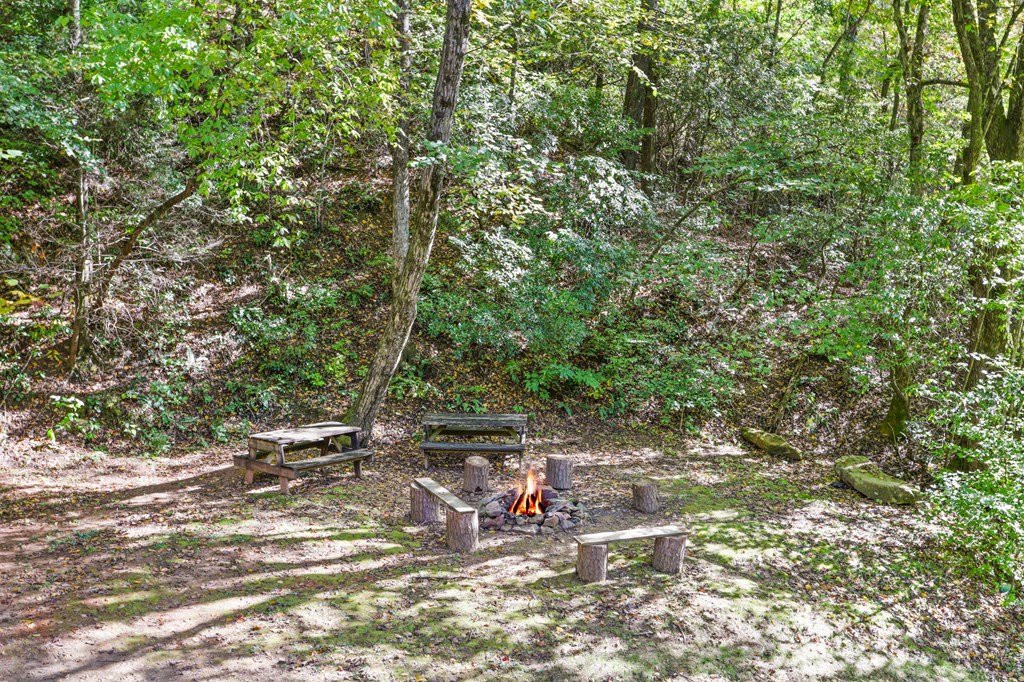 669 Little Rock Creek Road Cherry Log, GA 30522 - Photo 32 of 40 Gallery Image 32