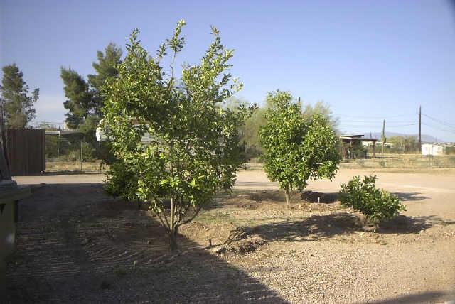 521 North Hilton Road Apache Junction, AZ 85119 - Photo 5 of 6 Additional Photo