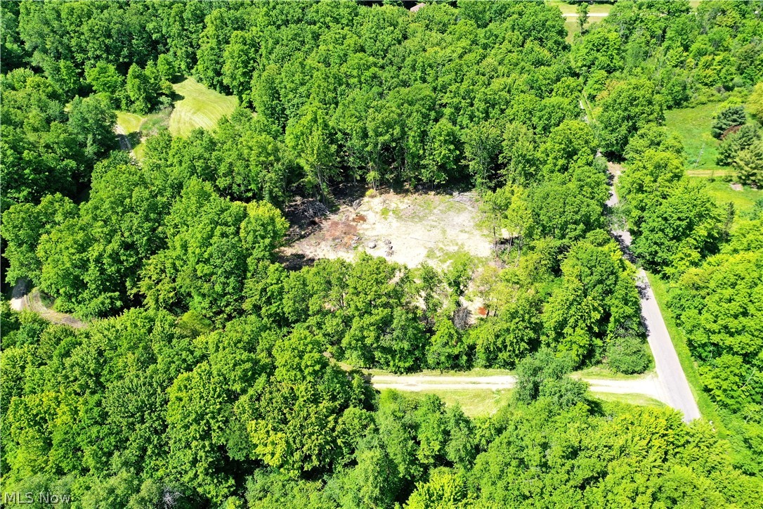 Mahan Denman Road Bristolville, OH 44402 - Photo 11 of 20