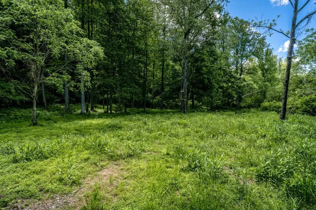 $162,500 | Lot 3 Green Creek Road, Schuyler, VA 22969