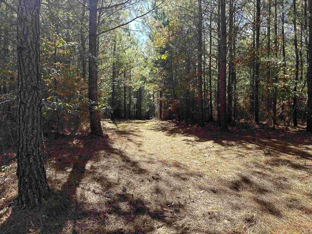 $162,500 | Lot 3 Green Creek Road, Schuyler, VA 22969