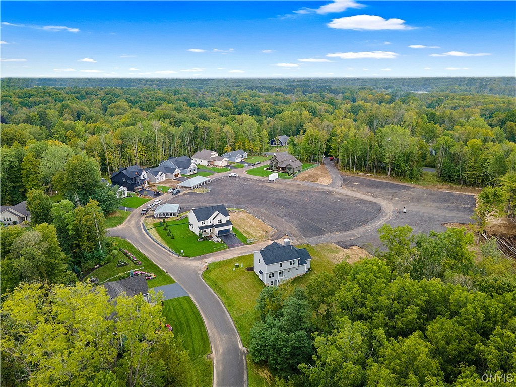 8901 Tulip Tree Path Lysander, NY 13027 - Photo 48 of 50 Aerial view