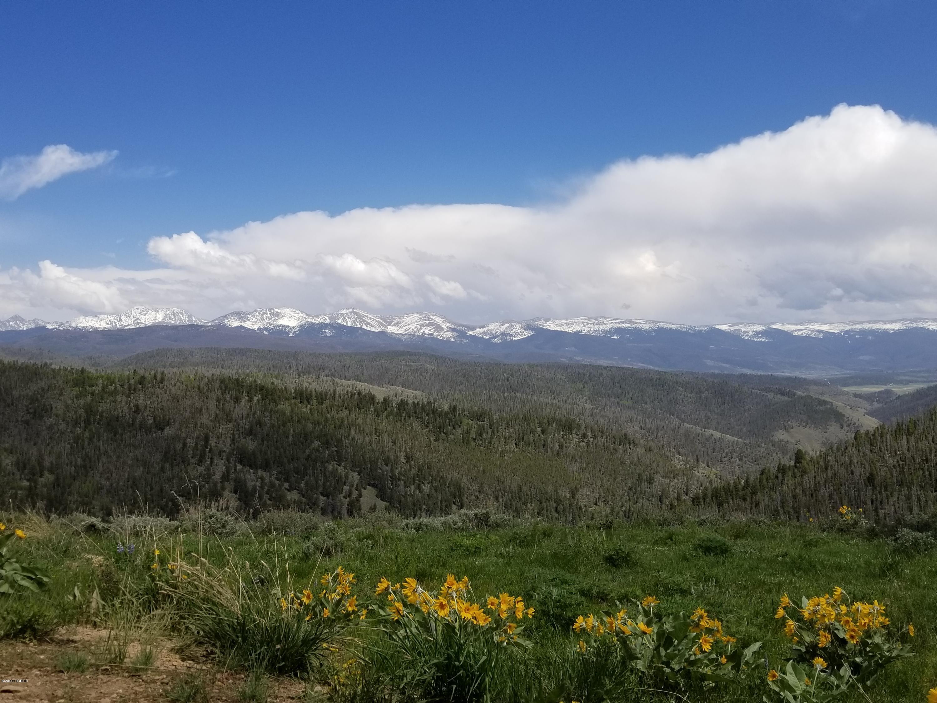 300 Base Camp Circle, Unit 111 Granby, CO 80446 - Photo 33 of 41 gr landscape
