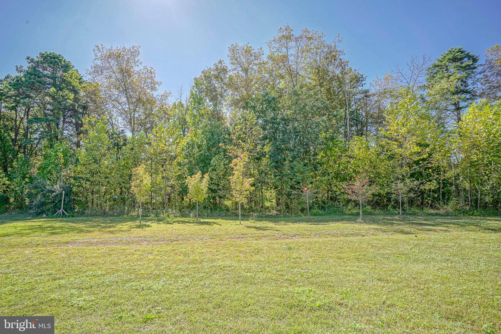 56 Rowand Way East Clementon, NJ 08021 - Photo 17 of 17