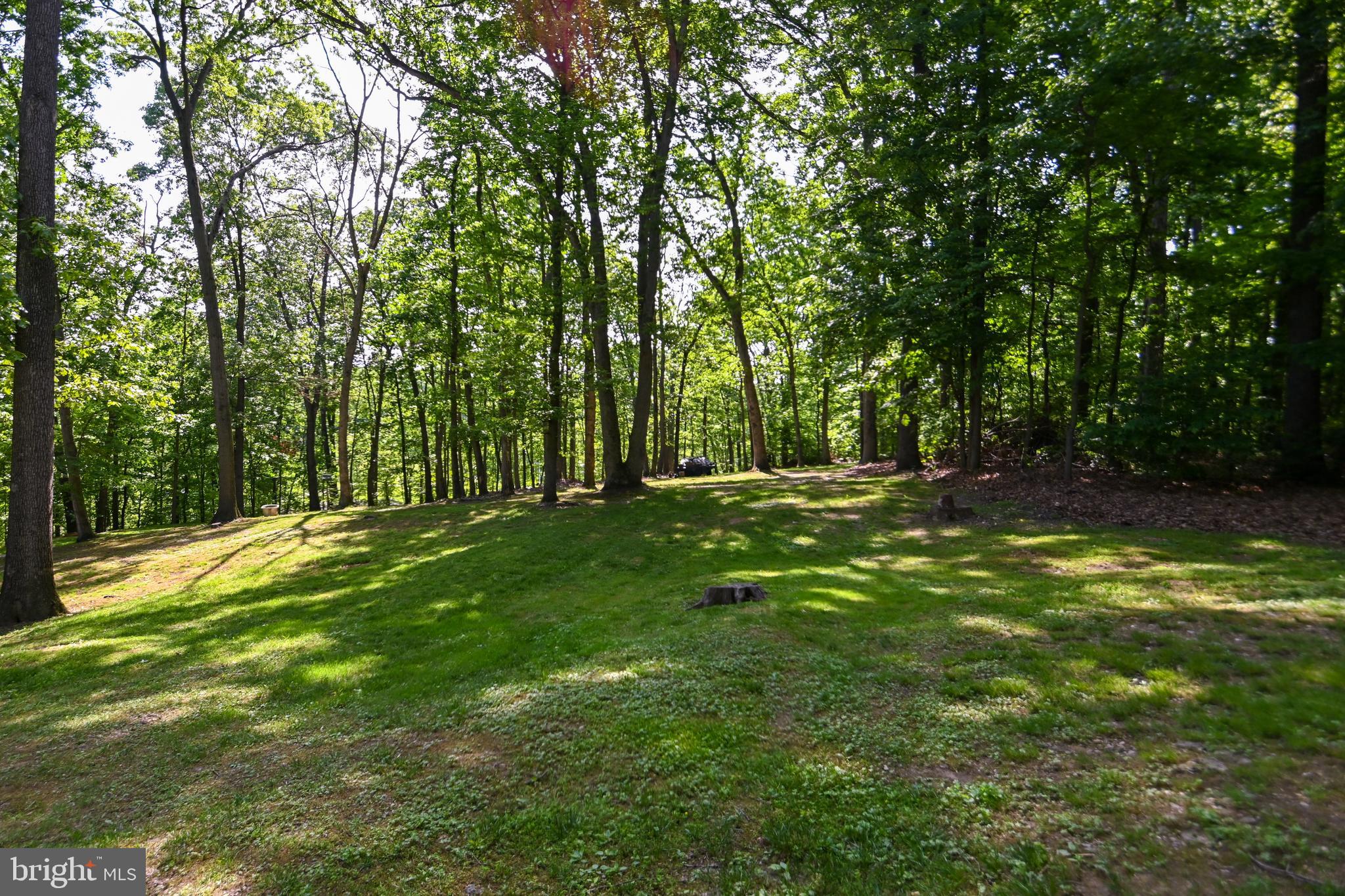 3748 Baker Schoolhouse Road Manchester, MD 21102 - Photo 52 of 71 Gallery Image 52