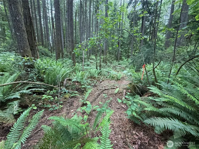 $280,000 | 13257 118th Avenue Northwest, Gig Harbor, WA 98329