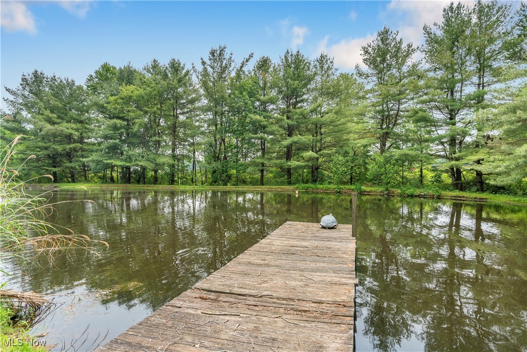 52 Arbor Road Northeast Minerva, OH 44657 - Photo 43 of 43 Gallery Image 43
