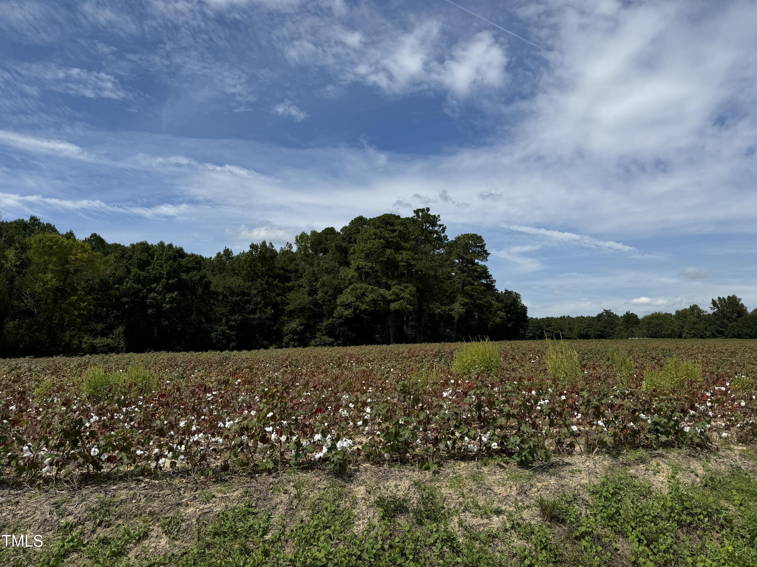 5 Acres Mitchell Road Angier, NC 27501 - Photo 2 of 5 IMG_3687