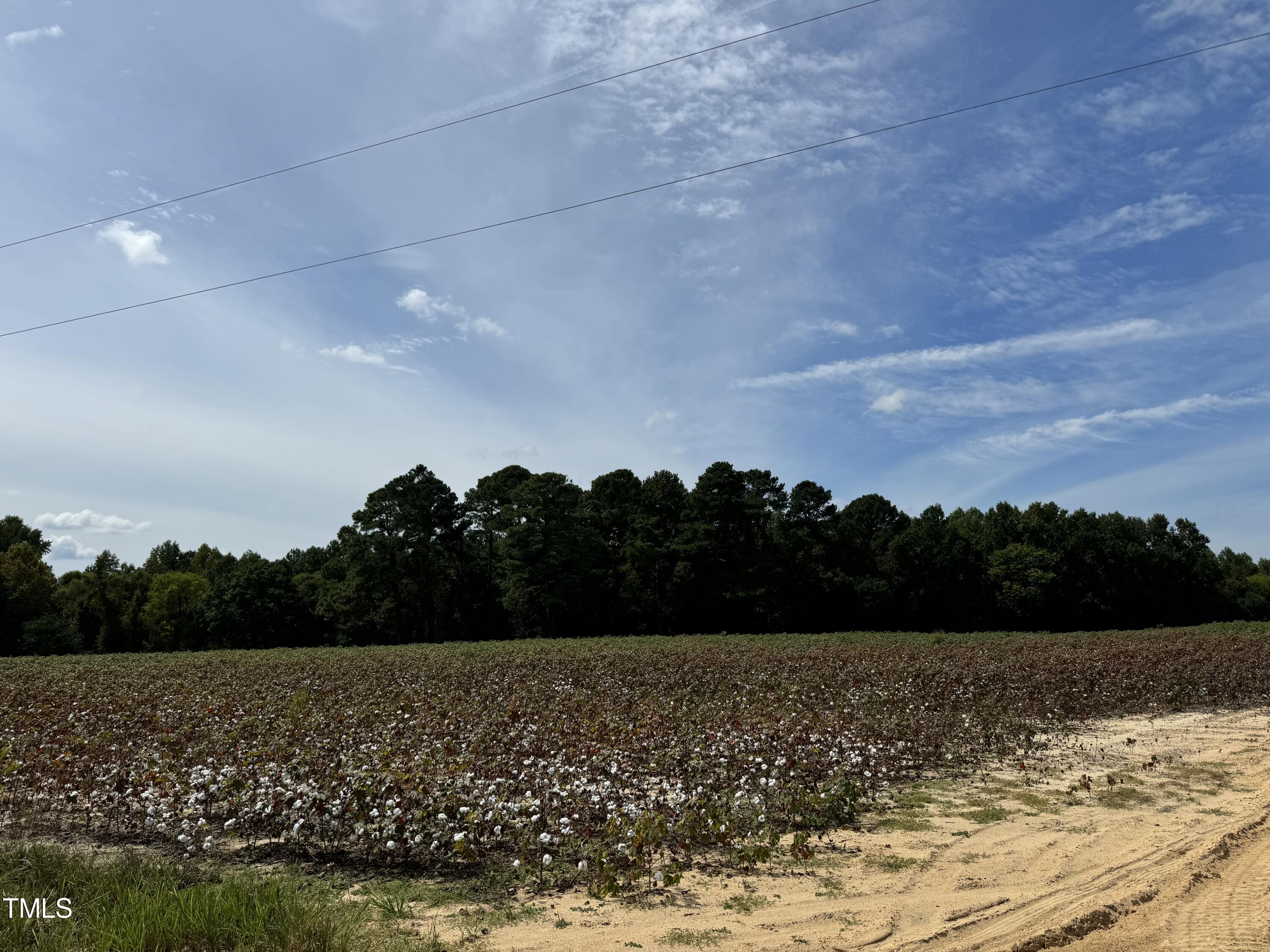 5 Acres Mitchell Road Angier, NC 27501 - Photo 3 of 5 IMG_3684