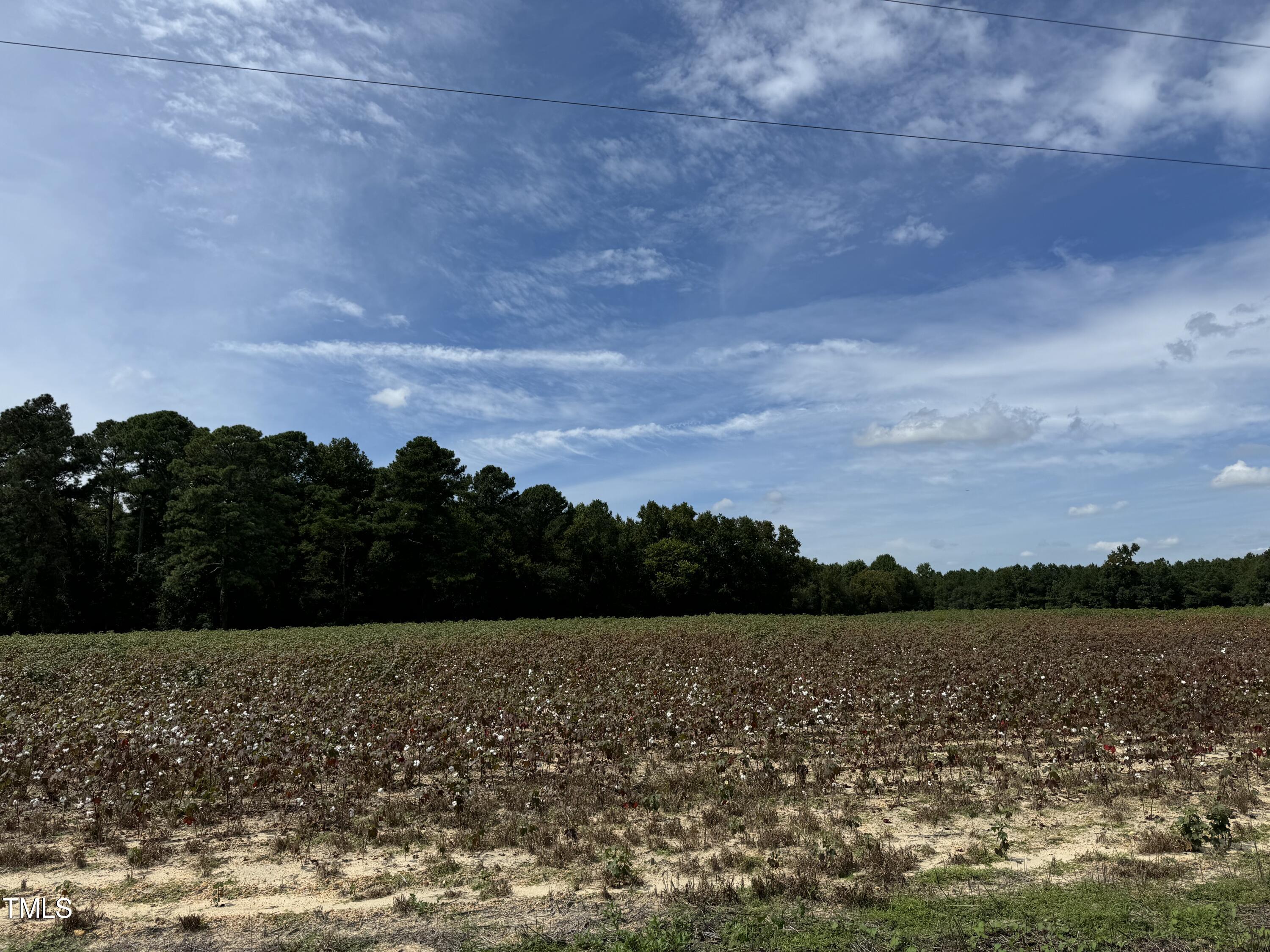 5 Acres Mitchell Road Angier, NC 27501 - Photo 5 of 5 IMG_3685