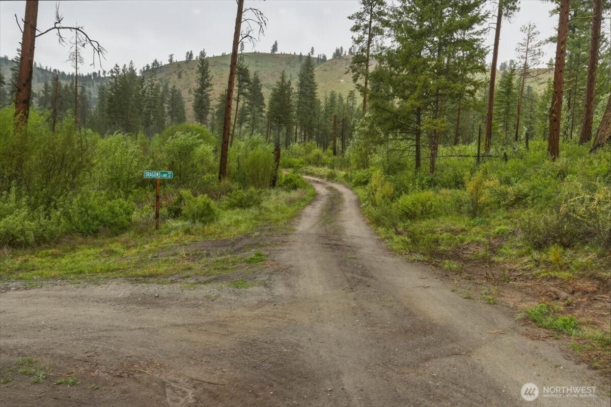 0 Washington Creek Road Chelan, WA 98816 - Photo 28 of 29 a view of a forest filled with trees