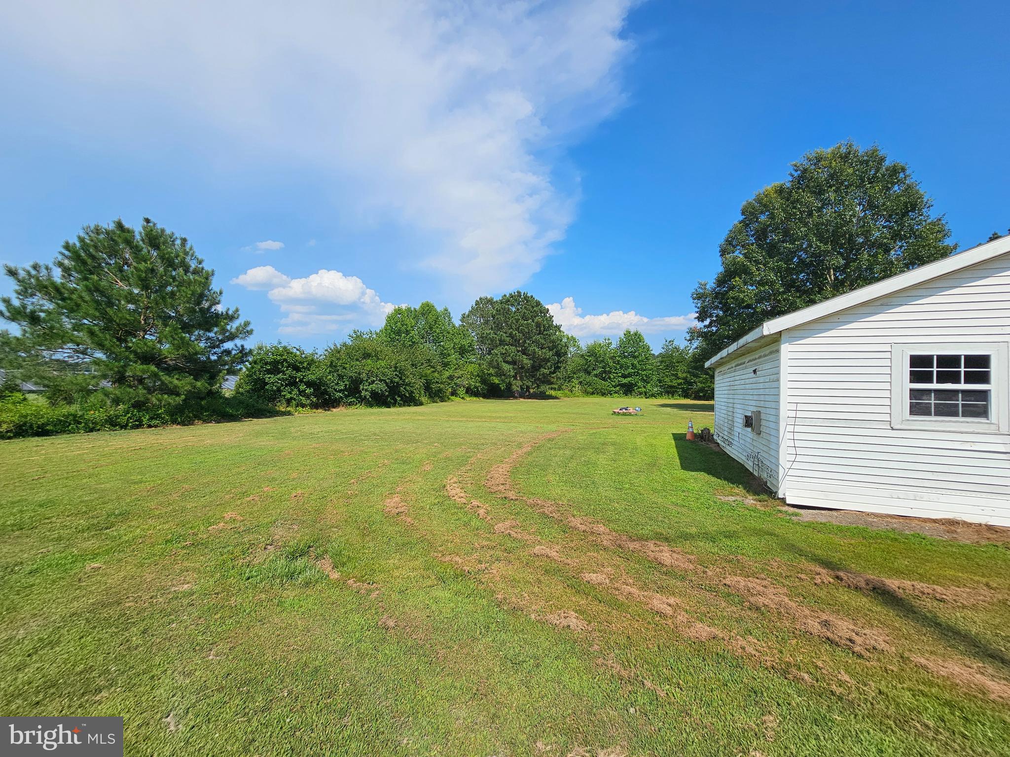 8909 Arden Station Road Westover, MD 21871 - Photo 29 of 32 a view of a backyard with large trees