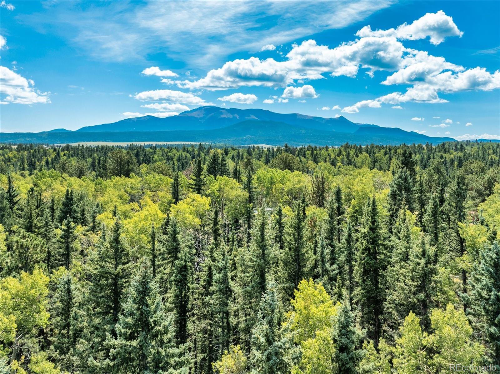 284 County Road 511 Divide, CO 80814 - Photo 46 of 50