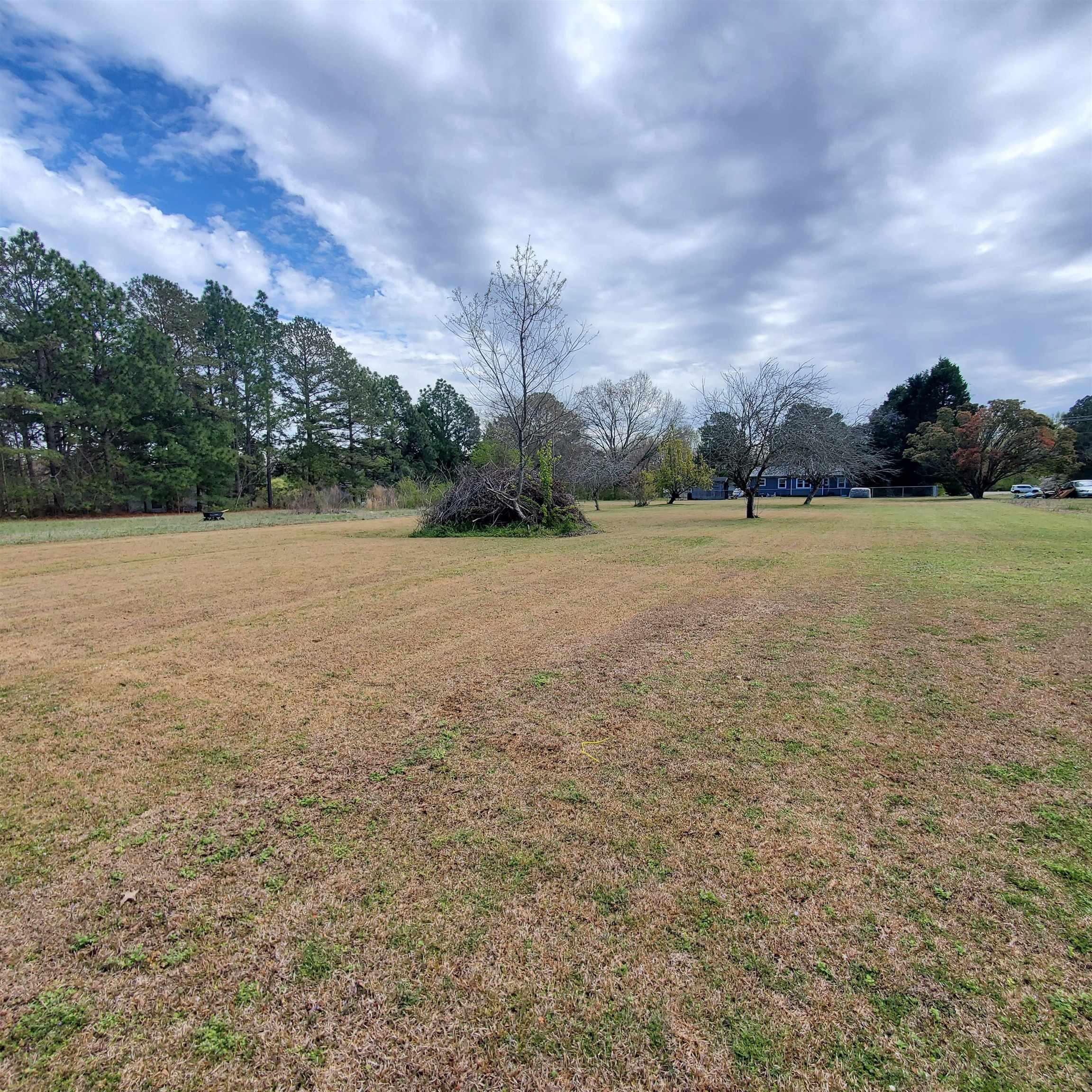 174 West Olive Road Clayton, NC 27520 - Photo 5 of 9 Photo 5