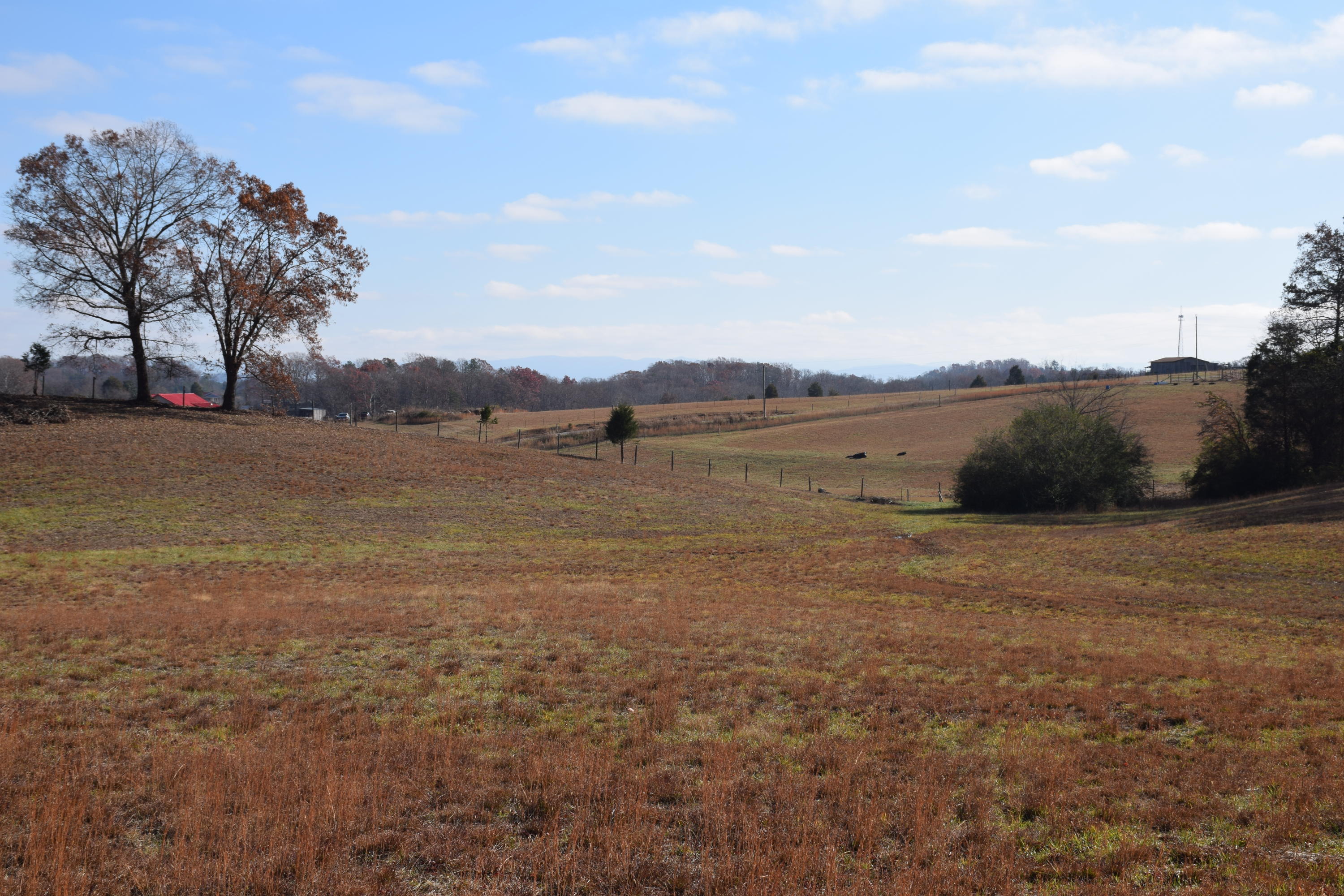 1700 Watkins Road East Loudon, TN 37774 - Photo 3 of 9 IMG_1266