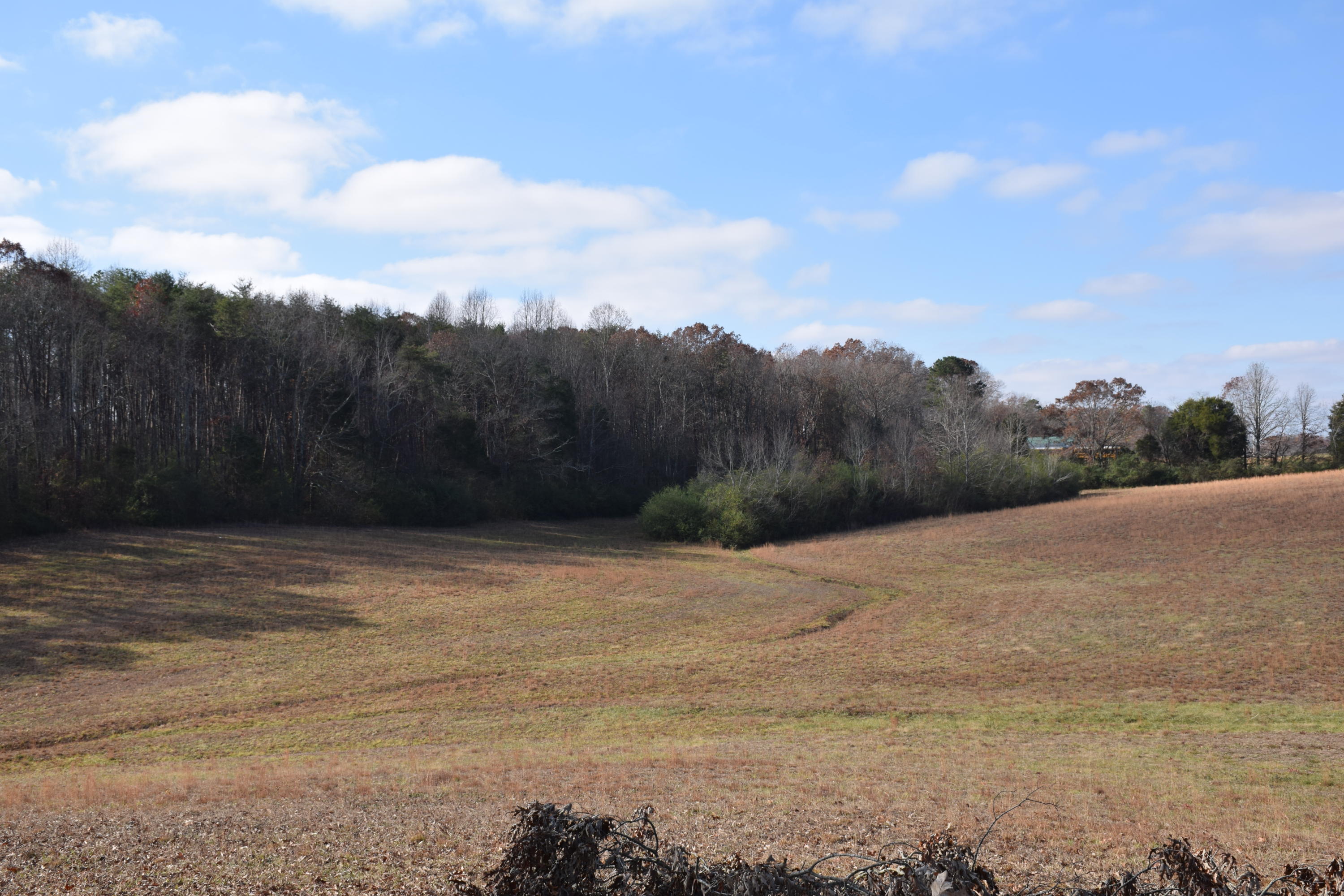 1700 Watkins Road East Loudon, TN 37774 - Photo 4 of 9 IMG_1270