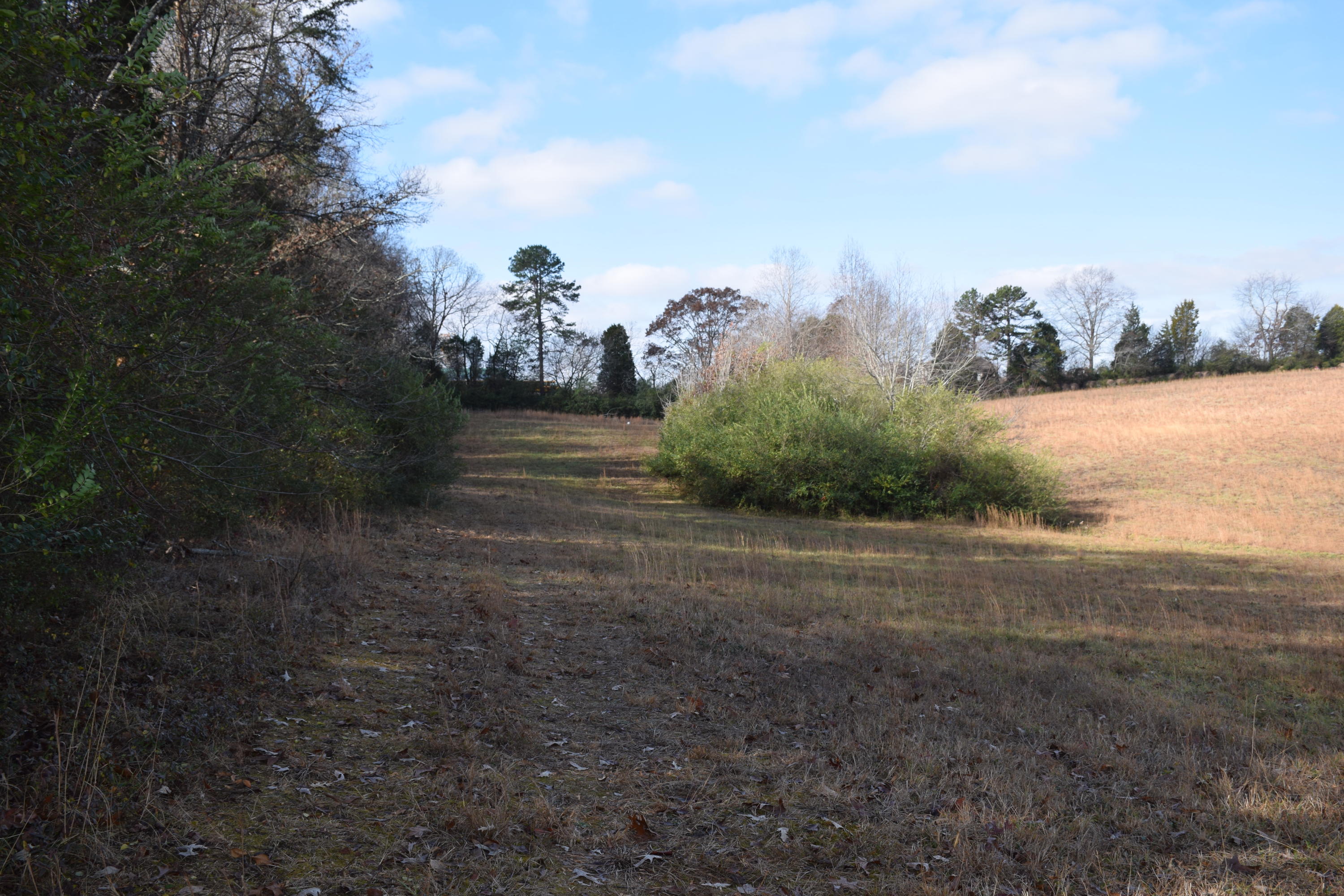 1700 Watkins Road East Loudon, TN 37774 - Photo 7 of 9 IMG_1269