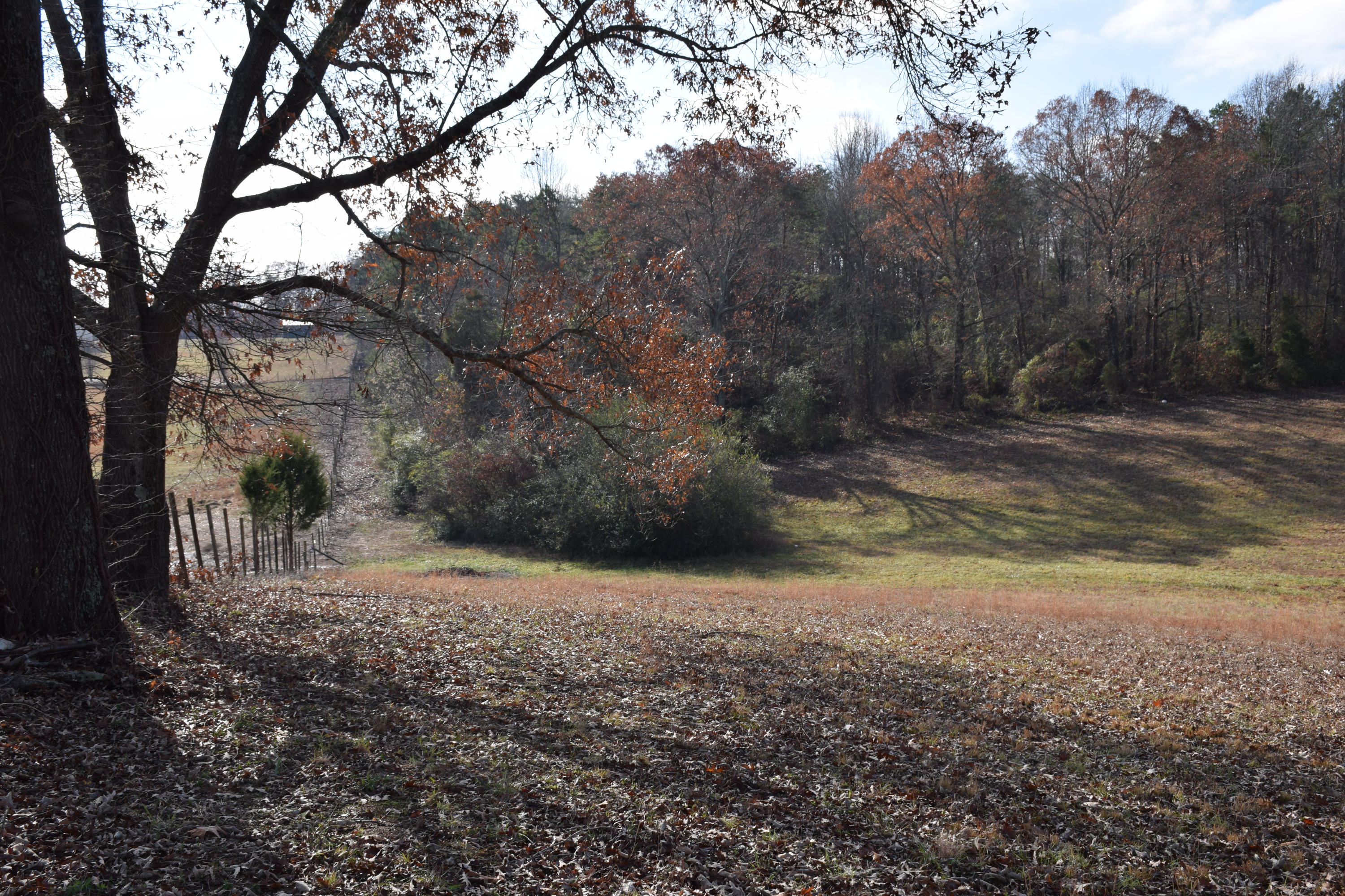 1700 Watkins Road East Loudon, TN 37774 - Photo 8 of 9 IMG_1271