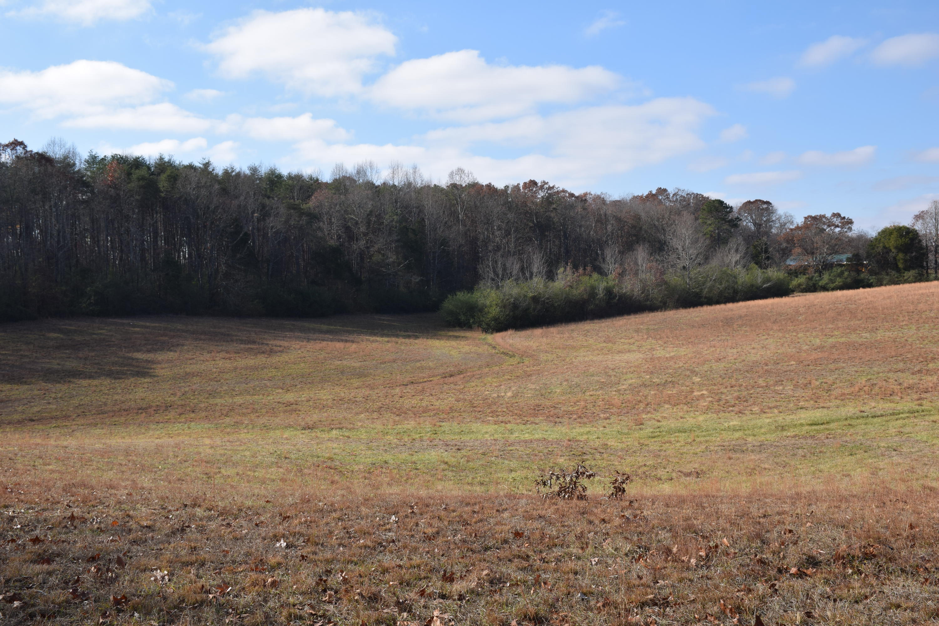 1700 Watkins Road East Loudon, TN 37774 - Photo 9 of 9 IMG_1272
