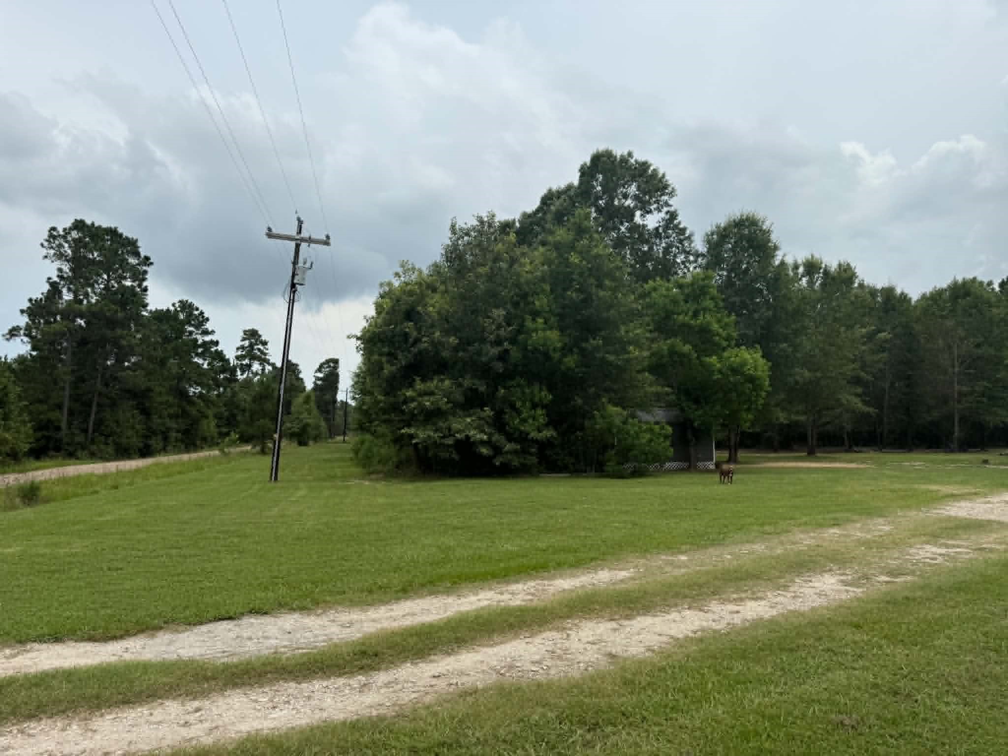 476 Camp Branch Road Trinity, TX 75862 - Photo 3 of 23